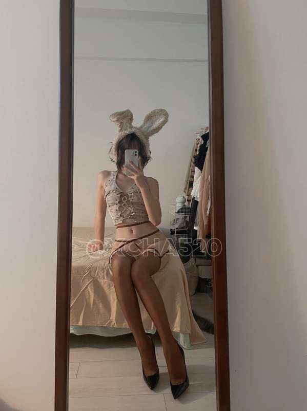 网红搽搽新作灰色小兔叽 [50P+3V/207M]