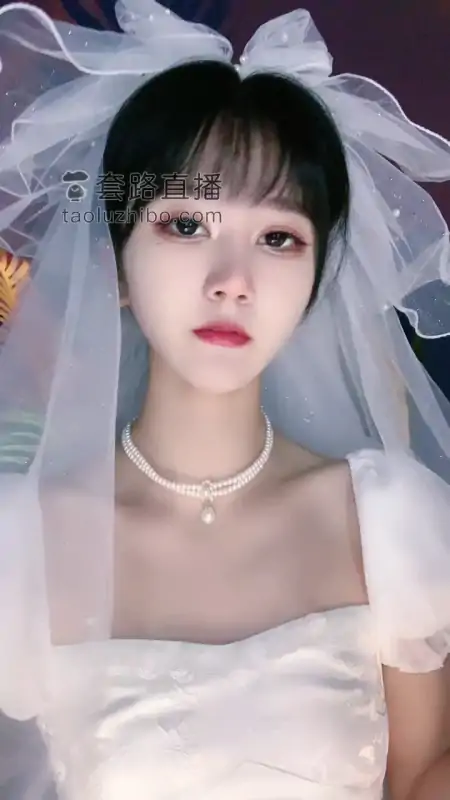 VINNIE维妮 合集下载 [17V/13.57GB]