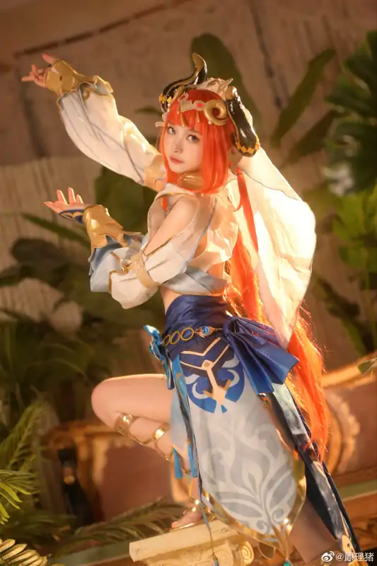 原理猪 6套合集下载 [2.78G]