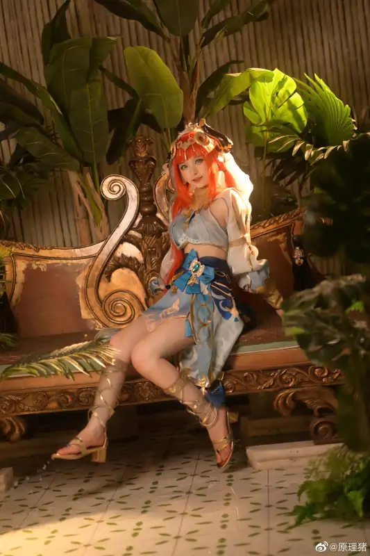 原理猪 6套合集下载 [2.78G]