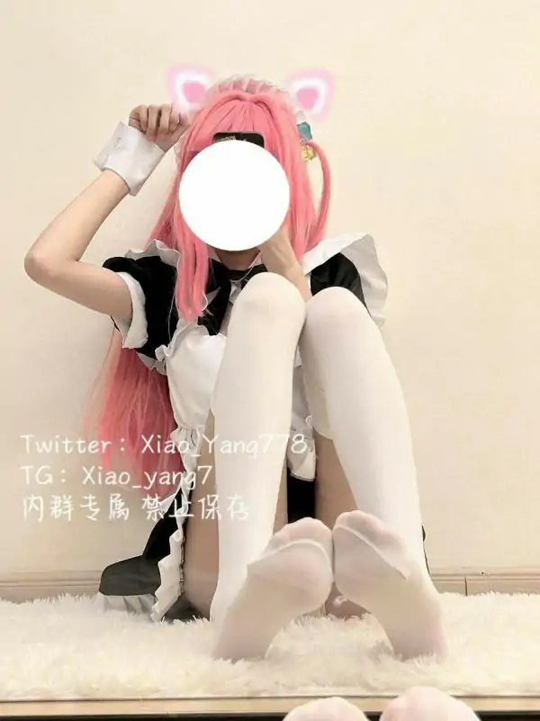 白虎网红夹心小羊D音风舞蹈与尺度私拍视图合集 [47P+86V/996M]