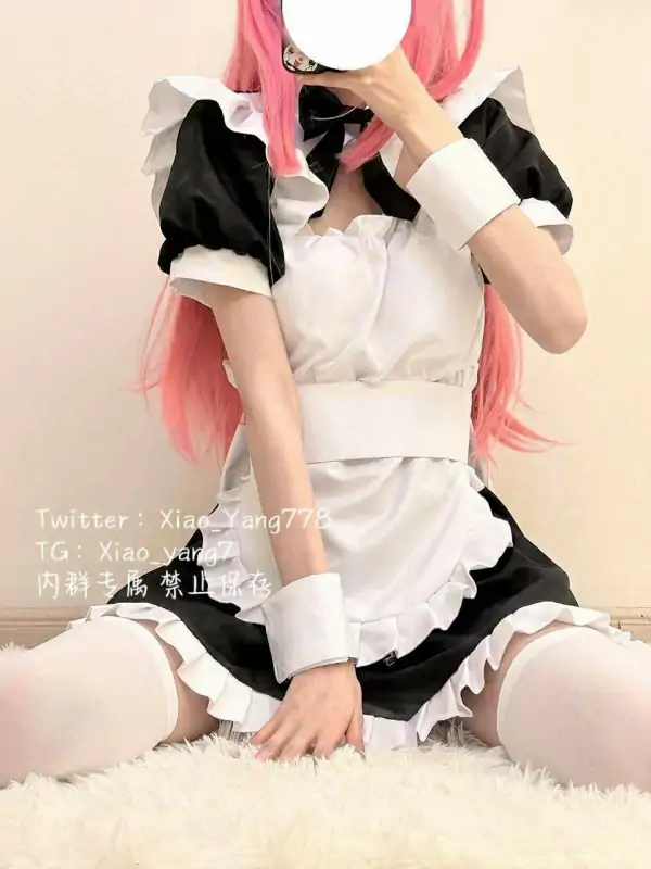 白虎网红夹心小羊D音风舞蹈与尺度私拍视图合集 [47P+86V/996M]