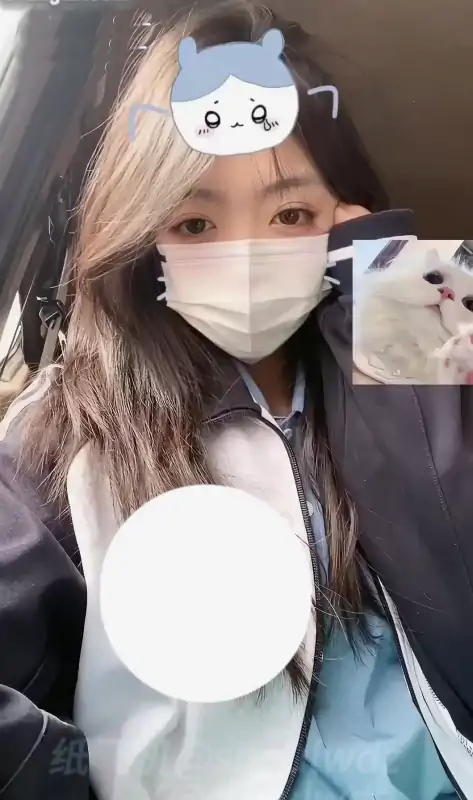 shoulwdz(受肉完犊子)作品合集 [194V/11.3G]