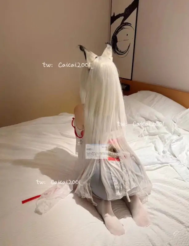 caicai2001_ – 4.4G合集 [4.41G]