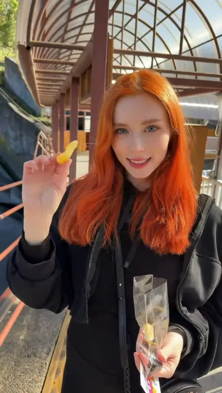 Sweetie Fox 甜狐 作品合集打包下载 [836G] 持续更新