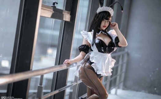 白烨 玉藻前同人女仆 [16P+2V/147M]