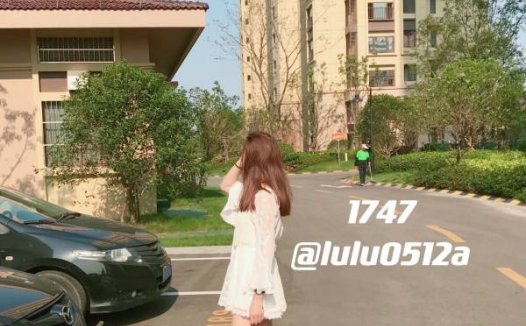 lulu0512a 小合集 [113p+14v/292M]